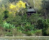 Hillside house in Yelapa